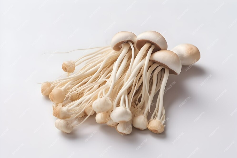 Mushroom